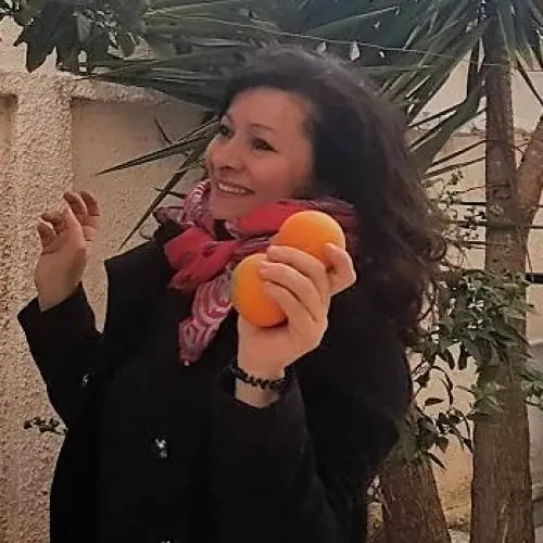 sarifari image 0